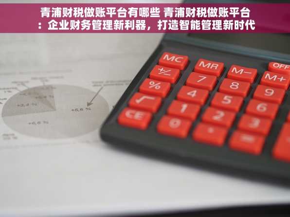 青浦财税做账平台有哪些 青浦财税做账平台：企业财务管理新利器，打造智能管理新时代