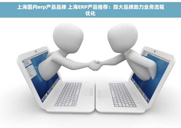 上海国内erp产品品牌 上海ERP产品推荐：四大品牌助力业务流程优化