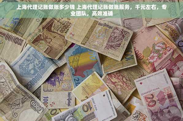 上海代理记账做账多少钱 上海代理记账做账服务，千元左右，专业团队，高效准确