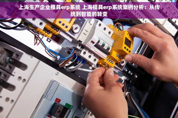 上海生产企业模具erp系统 上海模具erp系统案例分析：从传统到智能的转变