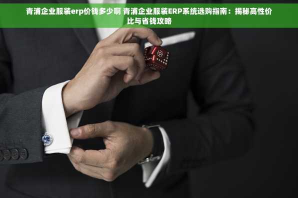 青浦企业服装erp价钱多少啊 青浦企业服装ERP系统选购指南：揭秘高性价比与省钱攻略