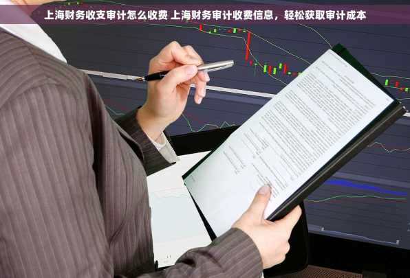 上海财务收支审计怎么收费 上海财务审计收费信息，轻松获取审计成本