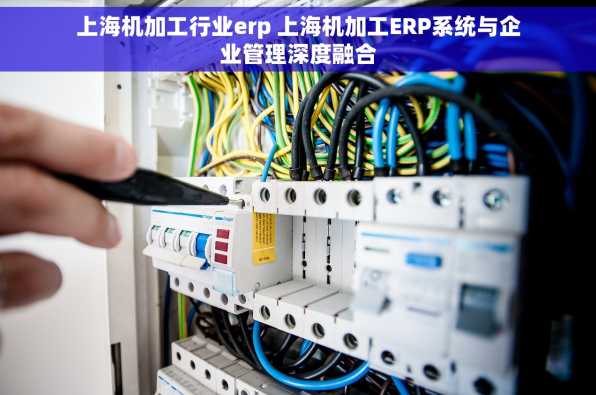 上海机加工行业erp 上海机加工ERP系统与企业管理深度融合