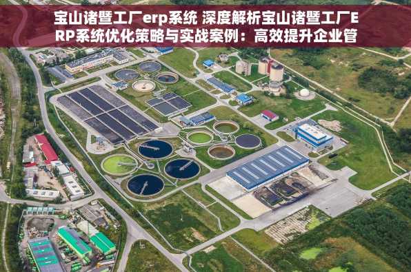 宝山诸暨工厂erp系统 深度解析宝山诸暨工厂ERP系统优化策略与实战案例：高效提升企业管理