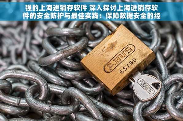 强的上海进销存软件 深入探讨上海进销存软件的安全防护与最佳实践：保障数据安全的经验总结