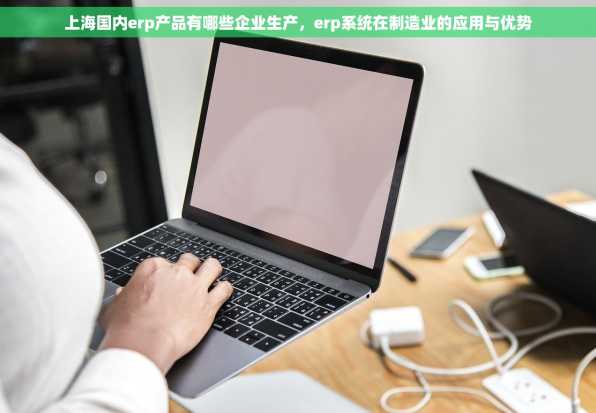 上海国内erp产品有哪些企业生产，erp系统在制造业的应用与优势