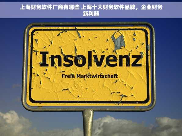 上海财务软件厂商有哪些 上海十大财务软件品牌，企业财务新利器