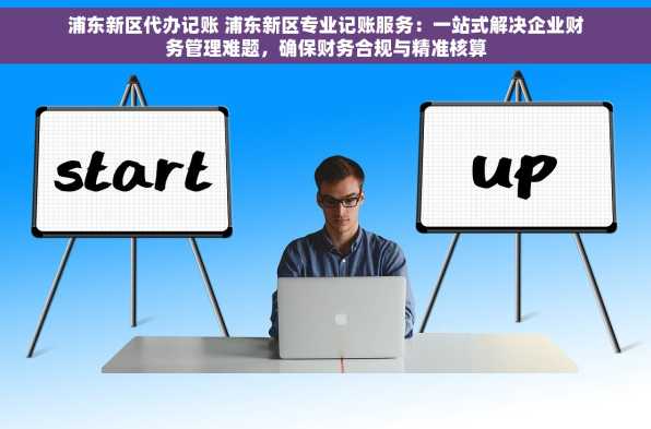 浦东新区代办记账 浦东新区专业记账服务：一站式解决企业财务管理难题，确保财务合规与精准核算