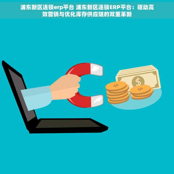 浦东新区连锁erp平台 浦东新区连锁ERP平台：驱动高效营销与优化库存供应链的双重革新