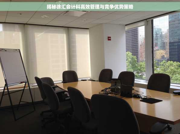 揭秘徐汇会计科高效管理与竞争优势策略