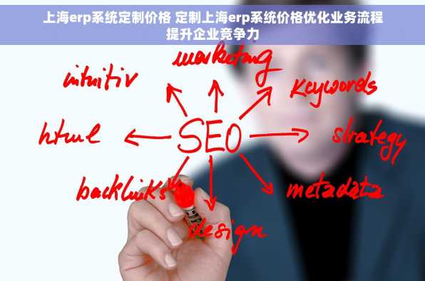 上海erp系统定制价格 定制上海erp系统价格优化业务流程提升企业竞争力