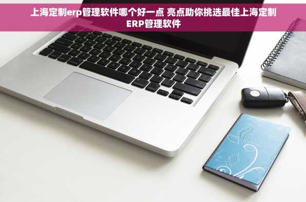 上海定制erp管理软件哪个好一点 亮点助你挑选最佳上海定制ERP管理软件
