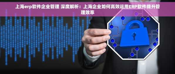 上海erp软件企业管理 深度解析：上海企业如何高效运用ERP软件提升管理效率