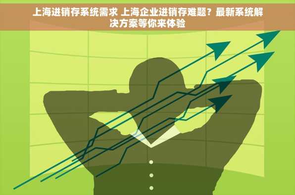 上海进销存系统需求 上海企业进销存难题？最新系统解决方案等你来体验