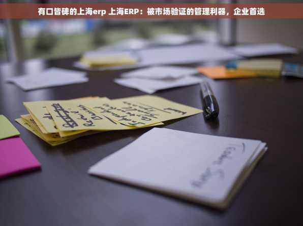 有口皆碑的上海erp 上海ERP：被市场验证的管理利器，企业首选
