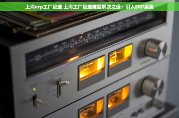上海erp工厂管理 上海工厂管理难题解决之道：引入ERP系统
