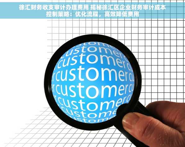 徐汇财务收支审计办理费用 揭秘徐汇区企业财务审计成本控制策略：优化流程，高效降低费用