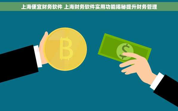 上海便宜财务软件 上海财务软件实用功能揭秘提升财务管理