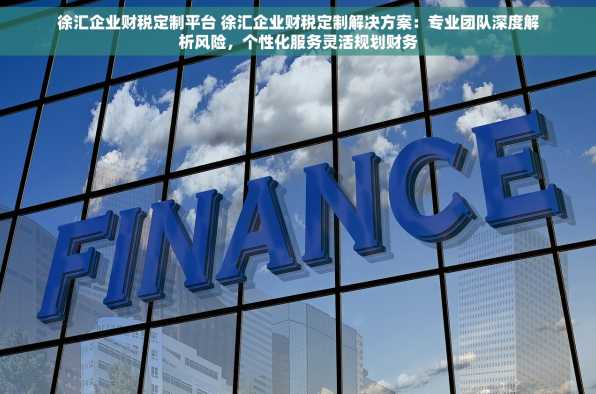 徐汇企业财税定制平台 徐汇企业财税定制解决方案：专业团队深度解析风险，个性化服务灵活规划财务