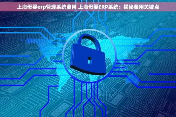 上海母婴erp管理系统费用 上海母婴ERP系统：揭秘费用关键点