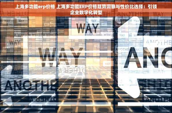 上海多功能erp价格 上海多功能ERP价格趋势洞察与性价比选择：引领企业数字化转型