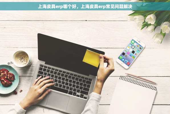 上海皮具erp哪个好，上海皮具erp常见问题解决
