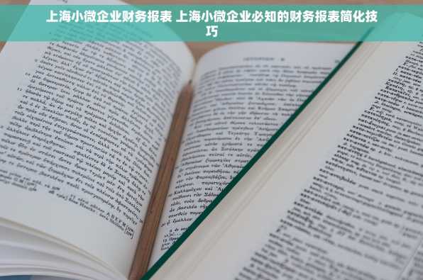 上海小微企业财务报表 上海小微企业必知的财务报表简化技巧