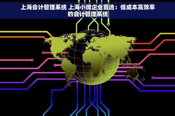 上海会计管理系统 上海小微企业首选：低成本高效率的会计管理系统