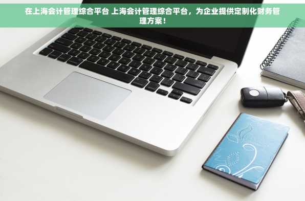 在上海会计管理综合平台 上海会计管理综合平台，为企业提供定制化财务管理方案！