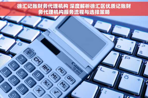 徐汇记账财务代理机构 深度解析徐汇区优质记账财务代理机构服务流程与选择策略