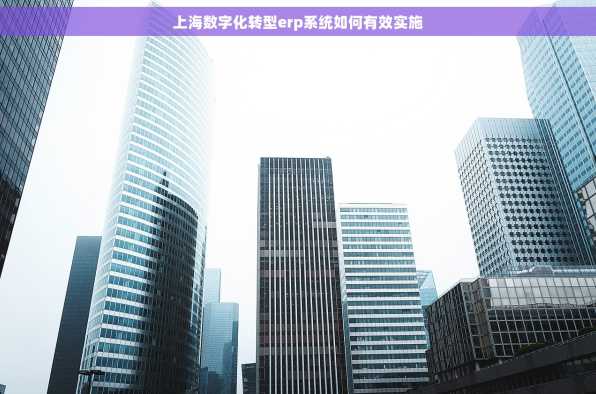 上海数字化转型erp系统如何有效实施