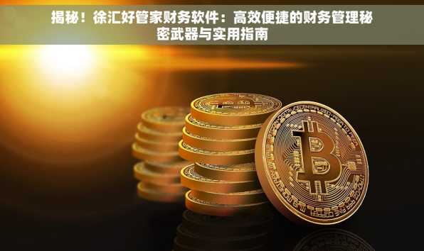 揭秘！徐汇好管家财务软件：高效便捷的财务管理秘密武器与实用指南