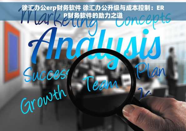 徐汇办公erp财务软件 徐汇办公升级与成本控制：ERP财务软件的助力之道