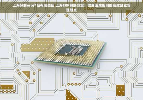 上海好的erp产品有哪些店 上海ERP解决方案：改变游戏规则的高效企业管理起点