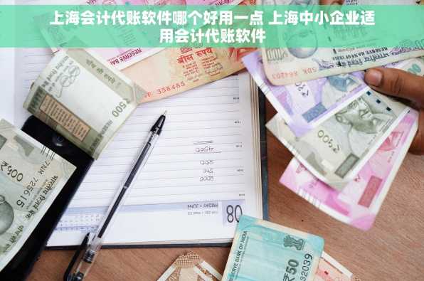 上海会计代账软件哪个好用一点 上海中小企业适用会计代账软件
