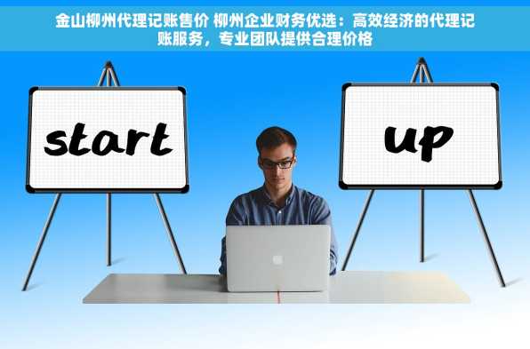金山柳州代理记账售价 柳州企业财务优选：高效经济的代理记账服务，专业团队提供合理价格