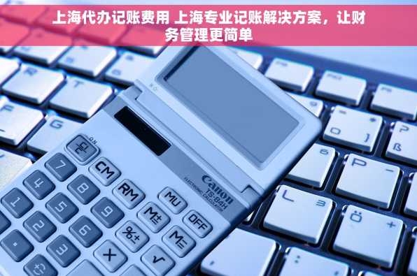 上海代办记账费用 上海专业记账解决方案，让财务管理更简单