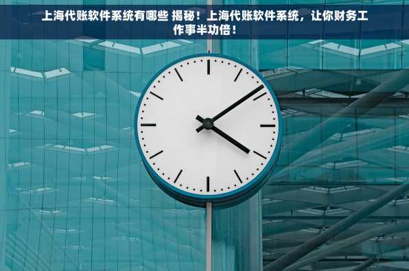 上海代账软件系统有哪些 揭秘！上海代账软件系统，让你财务工作事半功倍！