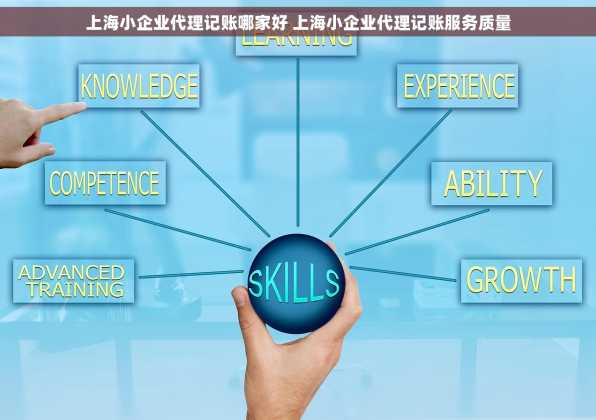 上海小企业代理记账哪家好 上海小企业代理记账服务质量