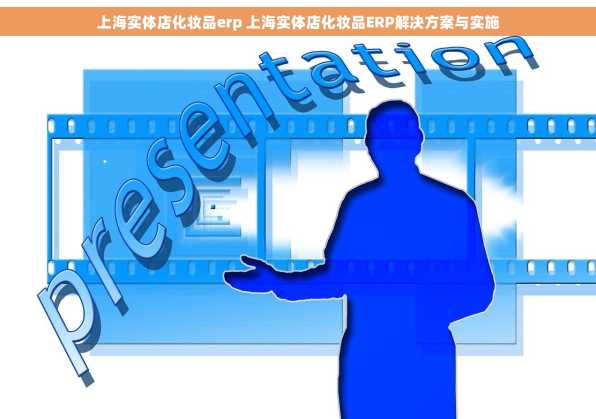 上海实体店化妆品erp 上海实体店化妆品ERP解决方案与实施