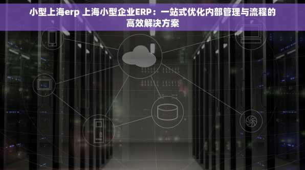 小型上海erp 上海小型企业ERP：一站式优化内部管理与流程的高效解决方案