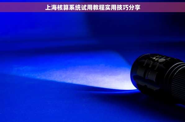 上海核算系统试用教程实用技巧分享