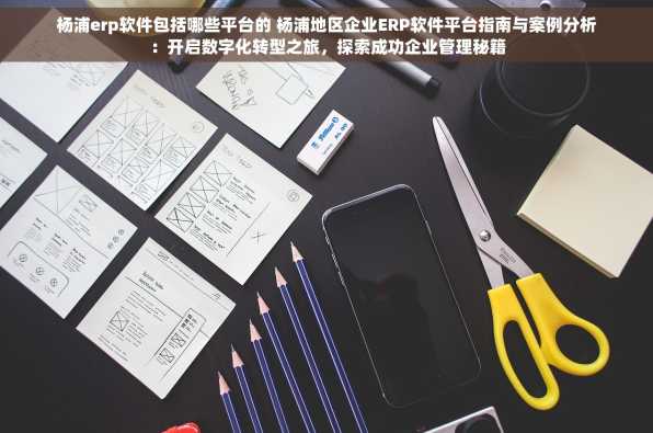 杨浦erp软件包括哪些平台的 杨浦地区企业ERP软件平台指南与案例分析：开启数字化转型之旅，探索成功企业管理秘籍