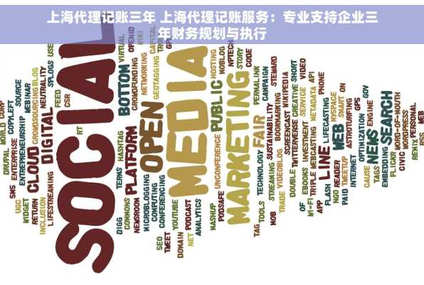 上海代理记账三年 上海代理记账服务：专业支持企业三年财务规划与执行