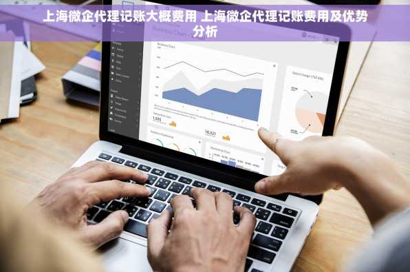 上海微企代理记账大概费用 上海微企代理记账费用及优势分析