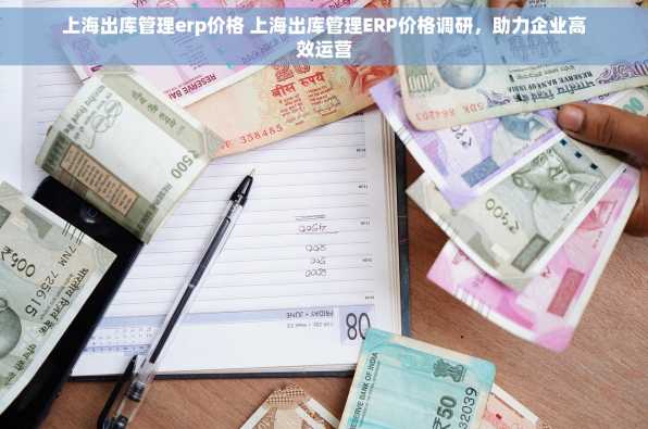 上海出库管理erp价格 上海出库管理ERP价格调研，助力企业高效运营
