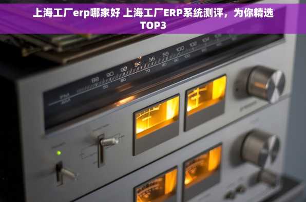 上海工厂erp哪家好 上海工厂ERP系统测评，为你精选TOP3