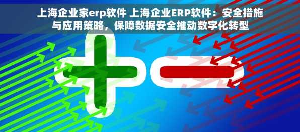 上海企业家erp软件 上海企业ERP软件：安全措施与应用策略，保障数据安全推动数字化转型