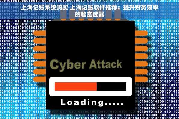 上海记账系统购买 上海记账软件推荐：提升财务效率的秘密武器
