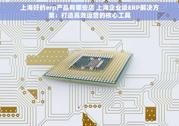上海好的erp产品有哪些店 上海企业级ERP解决方案：打造高效运营的核心工具